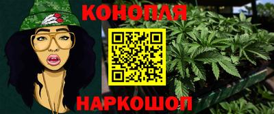spice Моздок