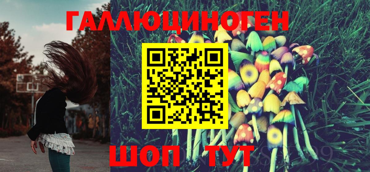 Галлюциногенные грибы Magic Shrooms  Вход с VPN  Щёлково  Псилоцибиновые грибы прущие грибы 