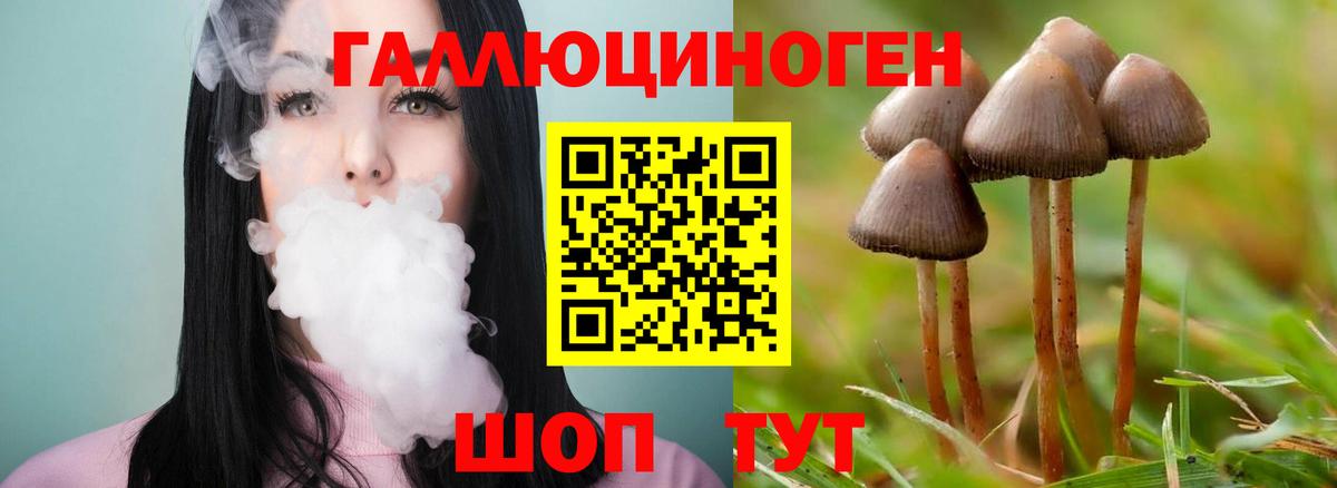 Галлюциногенные грибы Cubensis Щёлково
